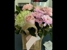 Petals On The Plaza Springwood - Florists