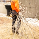 C M Tree Service & Removal - Tree Service