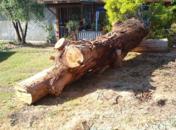 Steve Daley Tree Services - Swanhaven, NSW