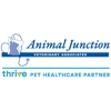 Animal Junction Veterinary gallery