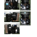 Pasha International - Heating Equipment & Systems-Repairing