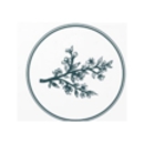 ReNu Beauty and Wellness Med Spa - Day Spas