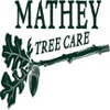 Mathey Tree Care & Consulting gallery