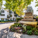 Avignon Townhomes