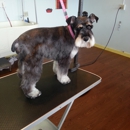 Doggy Clips - Pet Grooming