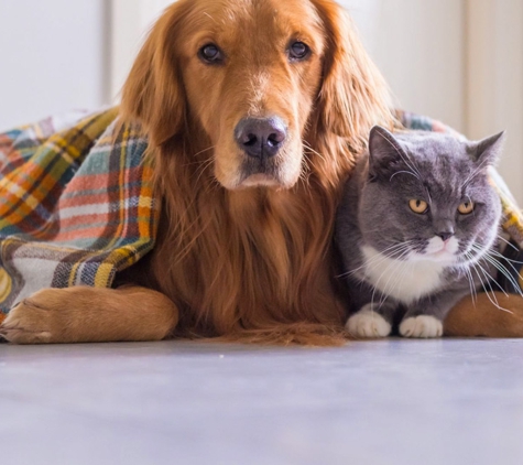 Torenbeek Veterinary Clinic - Frenchville, QLD
