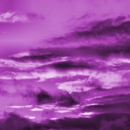 St. Luke's Cataract and Laser Institute Clearwater - Physicians & Surgeons, Ophthalmology