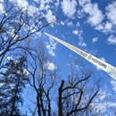NP Moyer Tree Service Inc - Tree Service