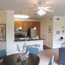 Bridgeway Apartments - Apartments