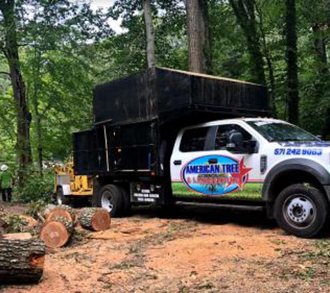 American Tree & Landscaping - Woodbridge, VA