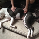 K9zentime Dog Massage Therapy - Massage Therapists
