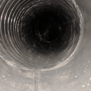 North Georgia Mold and Air Duct Cleaning - Mold Remediation