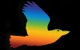 Visual Graphics QLD PTY LTD - Signwriters