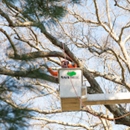 SavATree - Tree Service & Lawn Care - Tree Service