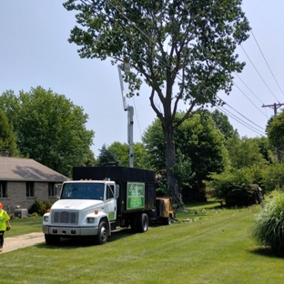 AP Tree Service - Hendersonville, NC