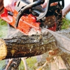 Kiker Tree Service & Stump Removal gallery