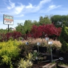 Hewitt's Garden Centers gallery