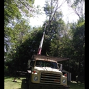 Dans Tree Service - Tree Service