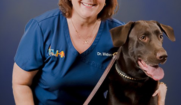 Tampa Veterinary Hospital - Tampa, FL