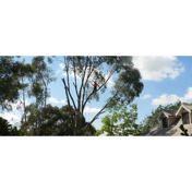 Gallery Image Number 6