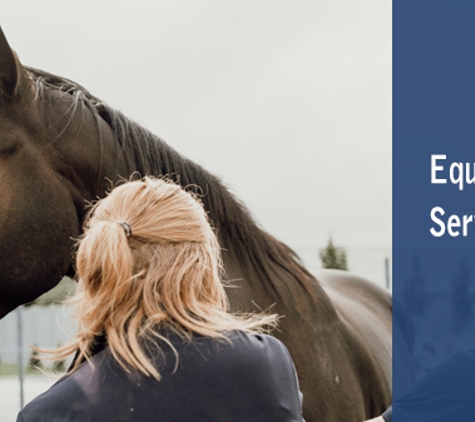Meander Valley Veterinary Service - Deloraine, TAS. Equine Services