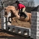 Cardinal Stable & Riding Academy - Horse Training