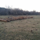 Strothkamp logging - Tree Service