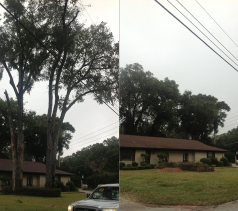 Greenwise Tree Surgeons - Jacksonville, FL