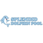 Splendid Dolphin Pool
