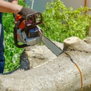 P K Tree Services - Tree Service