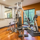 Comfort Suites Simpsonville - Greenville - Motels