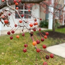 Solstice Senior Living at Fairport - Retirement Communities