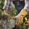 Hicksville Tree Service gallery