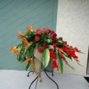 Angel Blooms Florist - Flowers, Plants & Trees-Silk, Dried, Etc.-Retail