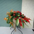 Angel Blooms Florist