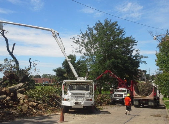 Clean Sweep Tree Service LLC - Shelbyville, IL