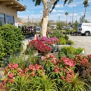 Desert Hot Springs Floirist & Garden Center Nurse - Garden Centers