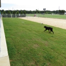 Phillips Dunn Animal Hospital - Kennels