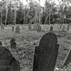 Alpine Hill Cemetery gallery