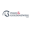 Goldenzweig Law Group, P - Attorneys
