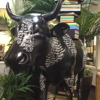 Sourcebooks Inc gallery