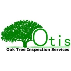Oak Tree Inspection Services