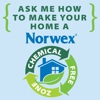 Norwex Independent Sales Consultant gallery