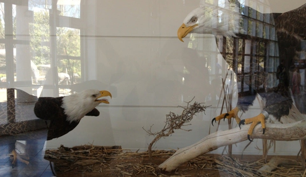 Fernbank Museum of Natural History - Atlanta, GA