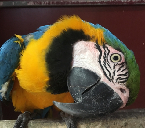 Mackay City Pet Barn - South Mackay, QLD