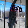 KC Window Cleaners gallery