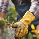 Q&F Green Crown care - Tree Service