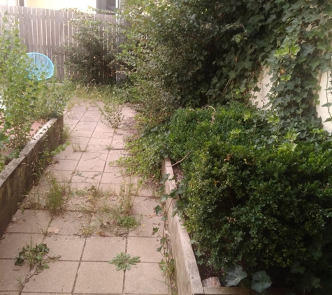 Champion Property Services