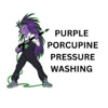 Purple Porcupine Pressure Washing gallery