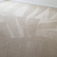 Bronco Pro Kleen Carpet Cleaning Denver